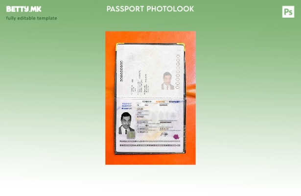 Шаблон за изглед на фотографија од пасош на Романија во модерен стил